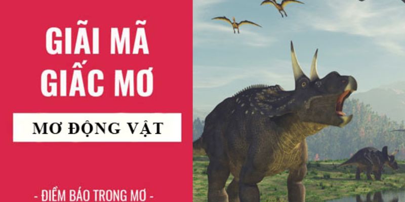 Giải mã giấc mơ thấy động vật  